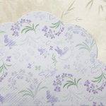Phalaenopsis Rabbit