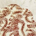 Dragon as the Backbone